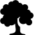 Baum Icon